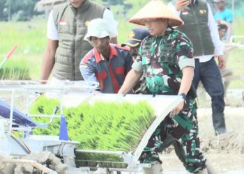 Danrem Gapu Ikuti Apel Brigade Pangan. (Foto : ist)