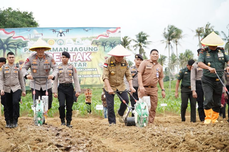 Gubernur Al Haris, Kapolda, Danrem dan Forkopimda Tanam Bibit Jagung Dukung Swasembada Pangan. (Foto : ist)