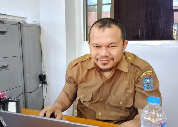 Hendi Kasubid Perencanaan kepegawaian dan informasi BKPSDMD Merangin. (Foto : ist)