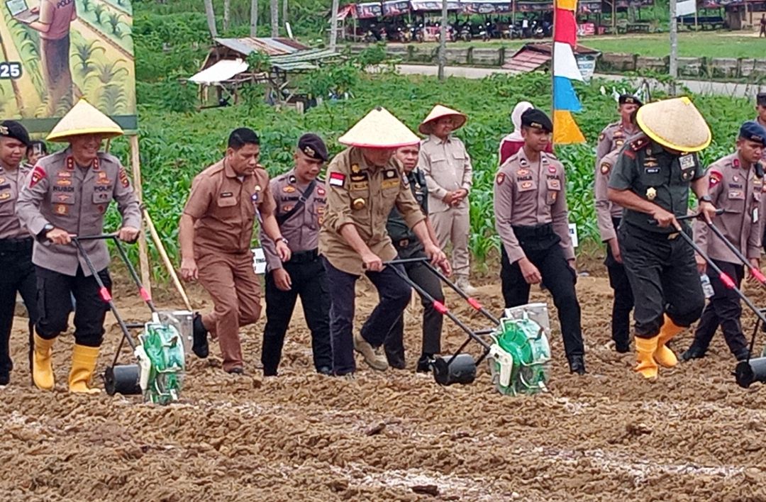 Dukung Program Ketahanan Pangan, Polda Jambi Garap Potensi Lahan 2.185 Hektar untuk Tanam Jagung. (Foto : Rolan - sinarjambi.com)