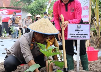 Dukung Ketahanan Pangan dan MBG, Polda Kalteng Bersama Bhayangkari Tebar Benih Ikan dan Tanam 1000 Bibit Tanaman. (Foto : ist)