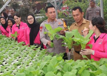 Kapolresta Jambi-Ketua Bhayangkari Luncurkan PPL Dukung Ketahanan Pangan-MBG. (Foto : ist)