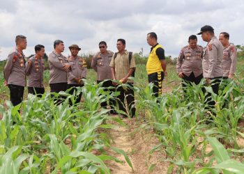 Polresta Jambi Lakukan Supervisi dan Asistensi Program Ketahanan Pangan. (Foto : ist)