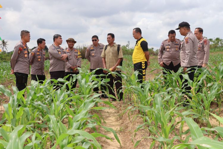 Polresta Jambi Lakukan Supervisi dan Asistensi Program Ketahanan Pangan. (Foto : ist)