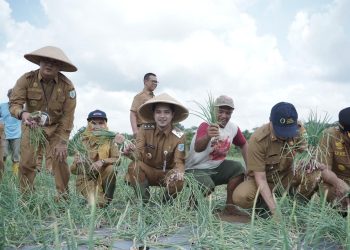 Dukung Ketahanan Pangan, Wawako Diza Motivasi Kelompok Tani Manfaatkan Lahan. (Foto : ist)