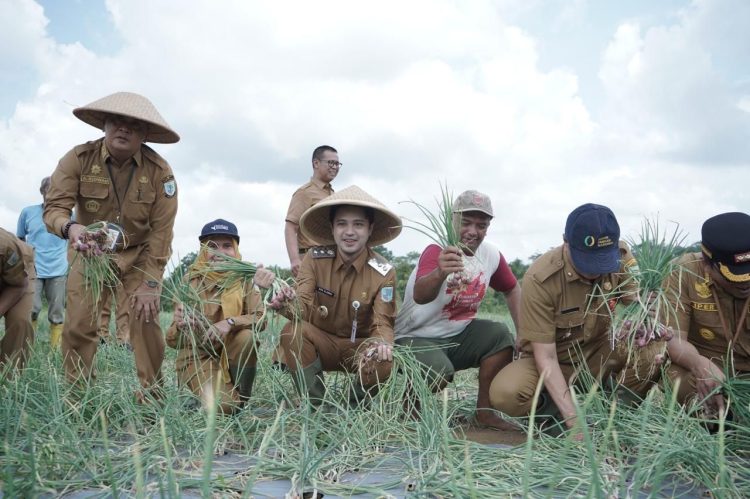 Dukung Ketahanan Pangan, Wawako Diza Motivasi Kelompok Tani Manfaatkan Lahan. (Foto : ist)