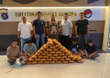 Polisi Gagalkan Peredaran 47 Kg Ganja di Sumbar, 4 Tersangka Ditangkap. (Foto : ist)