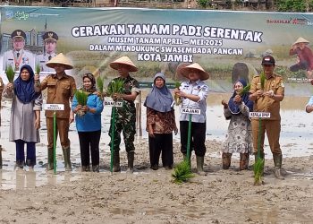 Wawako Jambi Diza Hazra Aljosha bersama Forkompinda tanam padi serentak. (Foto : Rolan - sinarjambi.com)
