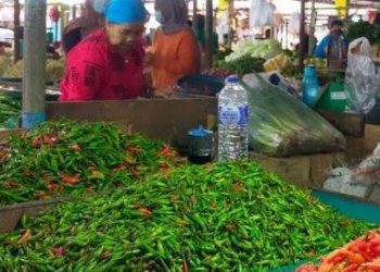 Bulan Maret 2025 provinsi Jambi mengalami inflasi 0,32%. (Foto : ist)