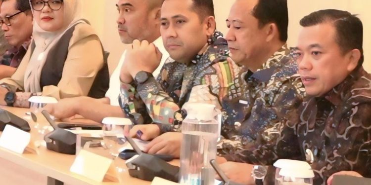 Audensi dengan Menkes RI, Syukur Dorong Puskesmas Jadi RS Type D. (Foto : ist)