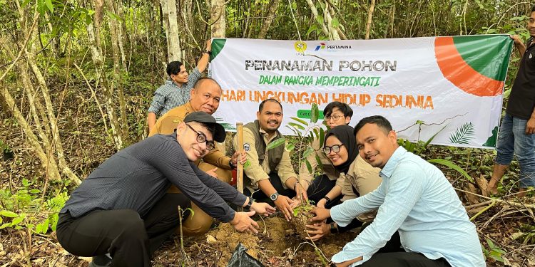 Peringati Hari Lingkungan Hidup Sedunia, PHR Zona 1 Tanam 4.000 Pohon. (Foto : ist)