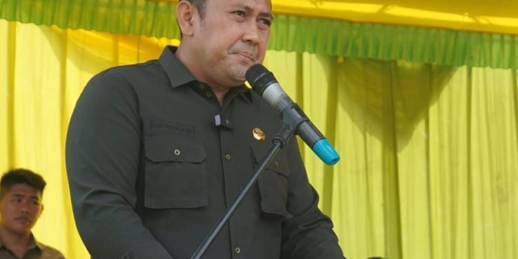 Bupati Merangin, Syukur. (Foto : ist)