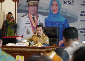 Gubernur Al Haris Tekankan Pentingnya Sinergi dan Kolaborasi untuk Pembangunan yang Efektif. (Foto : ist)
