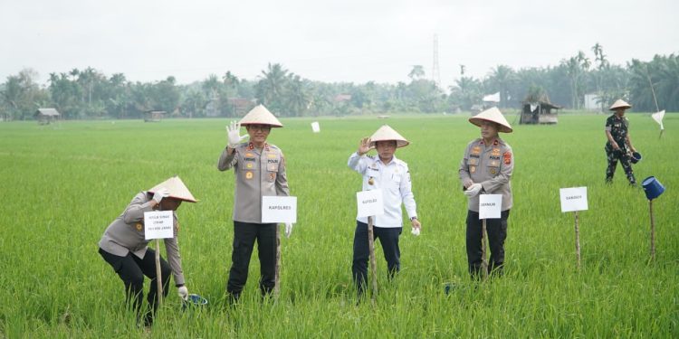 Presiden Prabowo Umumkan Indonesia Swasembada Pangan: Gubernur Al Haris Hadiri Tasyakuran Secara Virtual. (Foto : ist)