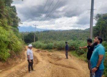 Jalan Renah Pemetik Kabupaten Kerinci segera terwujud berkat usaha keras dan komitmen Gubernur Jambi Al Haris. (Foto : ist)