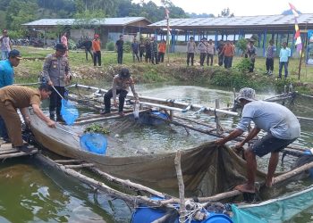 Polisi Hadir Membawa Solusi, Kapolsek Tabir Ulu Inisiasi Pemanfaatan Lahan Eks Tambang Jadi Produktif. (Foto : ist)