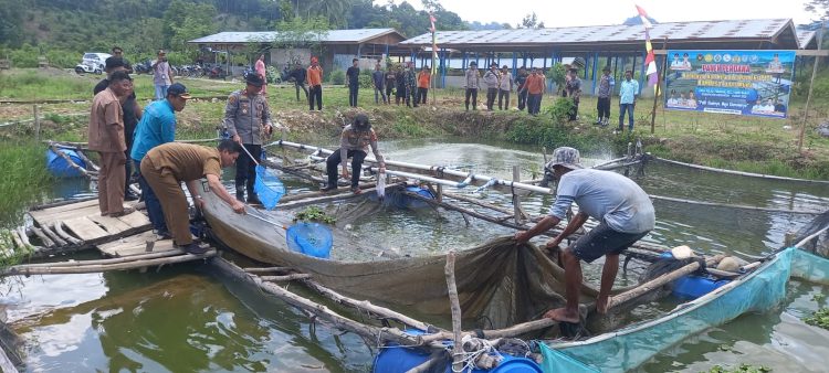 Polisi Hadir Membawa Solusi, Kapolsek Tabir Ulu Inisiasi Pemanfaatan Lahan Eks Tambang Jadi Produktif. (Foto : ist)
