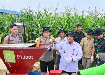 Polda Jambi Gelar Panen Raya Jagung Serentak Kuartal II 2026, Dukung Program Ketahanan Pangan Nasional. (Foto : ist)