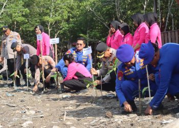 Jelang HUT Bhayangkara ke-80, Ditpolairud Polda Jambi dan Polres Tanjab Barat Tanam 2.000 Mangrove serta Tebar 2.000 Bibit Ikan. (Foto : ist)