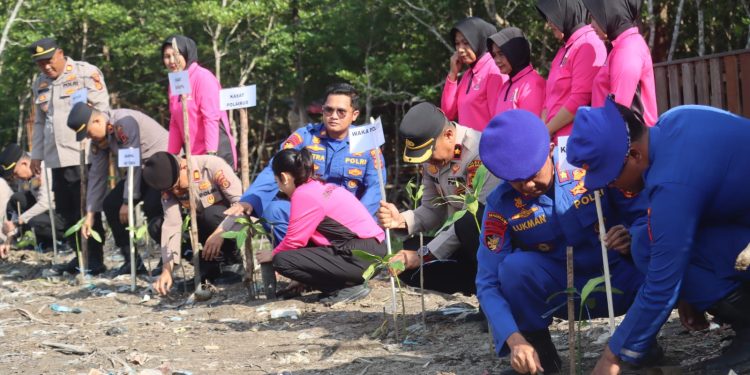 Jelang HUT Bhayangkara ke-80, Ditpolairud Polda Jambi dan Polres Tanjab Barat Tanam 2.000 Mangrove serta Tebar 2.000 Bibit Ikan. (Foto : ist)