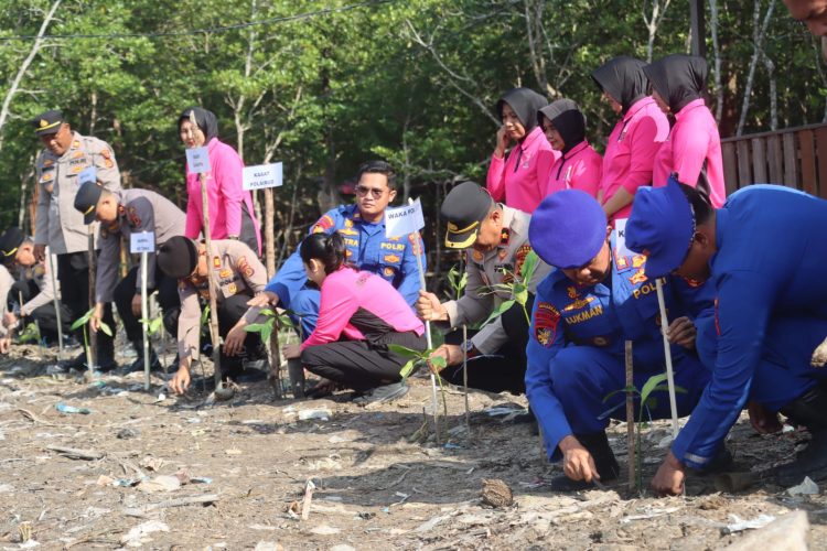 Jelang HUT Bhayangkara ke-80, Ditpolairud Polda Jambi dan Polres Tanjab Barat Tanam 2.000 Mangrove serta Tebar 2.000 Bibit Ikan. (Foto : ist)