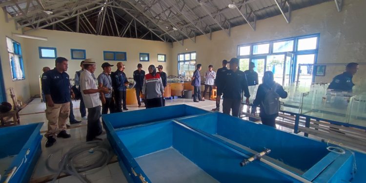 Perwakilan Pertamina EP Jambi dan kelompok penerima manfaat mengikuti kunjungan studi banding ke fasilitas budidaya perikanan guna memperkuat kapasitas pengelolaan Desa Patin Terpadu dan Ekowisata Perikanan Lopak Alai. (Foto : ist)