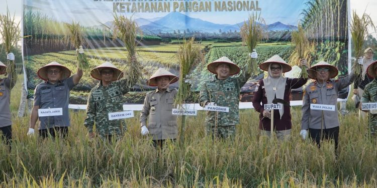 Gubernur Al Haris Hadiri Panen Raya TNI di Desa Kota Baru Geragai, Dukung Ketahanan Pangan. (Foto : ist)