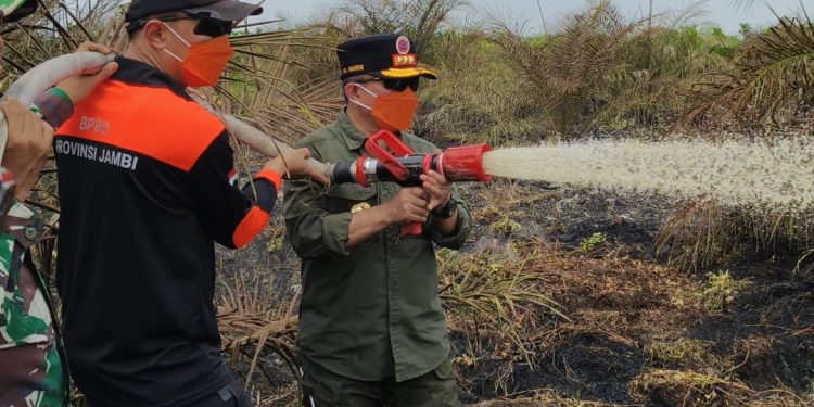 Turun Langsung Padamkan Karhutla di Air Merah, Gubernur Al Haris: Api Sudah 3 Hari, Gambut Sulit Dipadamkan. (Foto : ist)