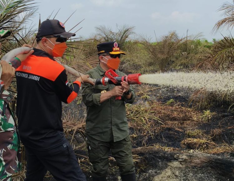 Turun Langsung Padamkan Karhutla di Air Merah, Gubernur Al Haris: Api Sudah 3 Hari, Gambut Sulit Dipadamkan. (Foto : ist)