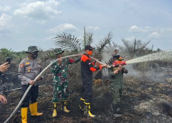 Kapolda Jambi Pastikan Penanganan Karhutla di Sungai Gelam Terus Dilakukan, Sinergi TNI-Polri dan BPBD Diperkuat. (Foto : ist)