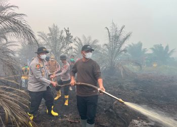Sinergi TNI-Polri dan Stakeholder, Karhutla di Areal Plasma PT BKS Sarolangun Berhasil Dipadamkan. (Foto : ist)