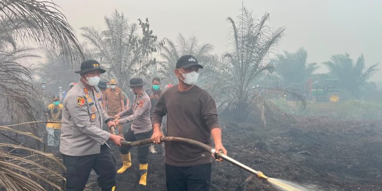 Sinergi TNI-Polri dan Stakeholder, Karhutla di Areal Plasma PT BKS Sarolangun Berhasil Dipadamkan. (Foto : ist)