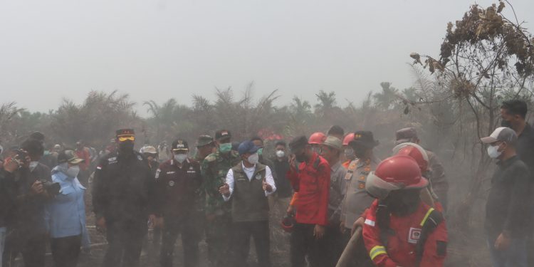 Menteri Kehutanan Tinjau Penanganan Karhutla di Tanjab Timur, Kapolda Jambi Tekankan Sinergi, Pencegahan dan Penegakan Hukum. (Foto : ist)