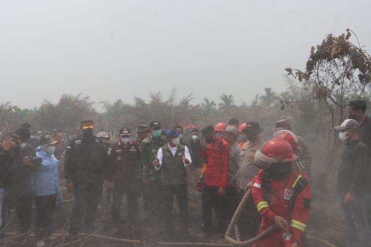 Menteri Kehutanan Tinjau Penanganan Karhutla di Tanjab Timur, Kapolda Jambi Tekankan Sinergi, Pencegahan dan Penegakan Hukum. (Foto : ist)
