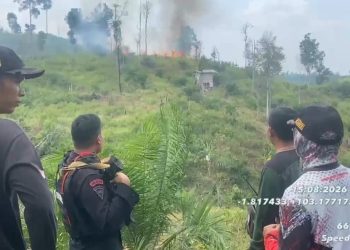 Satgas Karhutla Gabungan Temukan dan Padamkan Titik Api Saat Patroli Karhutla di Tahura Batanghari. (Foto : ist)
