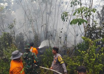 Polri Bersama Tim Gabungan Padamkan Karhutla 2 Hektare di Desa Muhajirin. (Foto : ist)