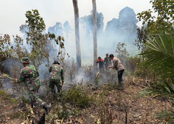 Polda Jambi dan Sinergi Lintas Instansi Intensifkan Patroli serta Pendinginan Cegah Karhutla. (Foto : ist)