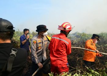 Kapolda, Gubernur dan Danrem Pantai penanganan karhutla di Tanjabtim. (Foto : ist)