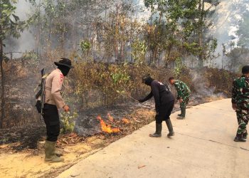 Gerak Cepat Satgas Karhutla Polda Jambi Kendalikan Kebakaran di Tahura Batanghari. (Foto : ist)