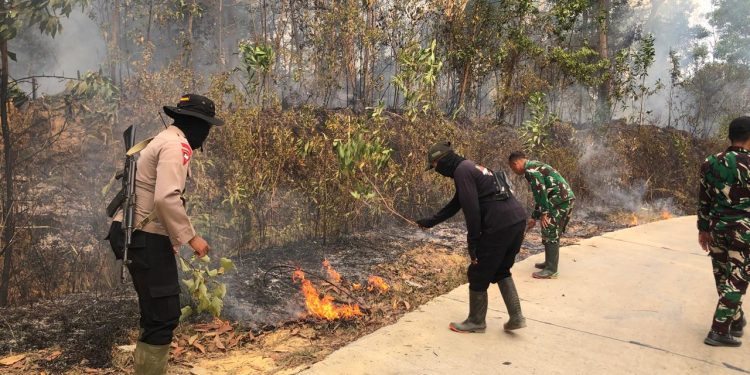 Gerak Cepat Satgas Karhutla Polda Jambi Kendalikan Kebakaran di Tahura Batanghari. (Foto : ist)