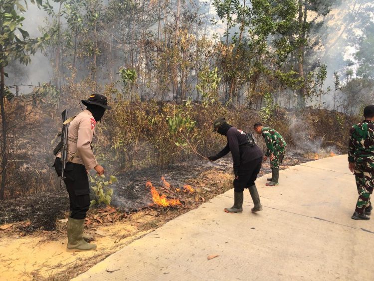 Gerak Cepat Satgas Karhutla Polda Jambi Kendalikan Kebakaran di Tahura Batanghari. (Foto : ist)
