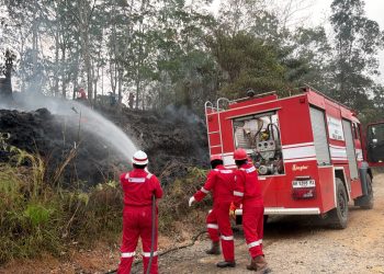 Tim HSSE Pertamina EP Jambi memadamkan kebakaran lahan menggunakan fire truck di salah satu lokasi karhutla di Jambi. (Foto : ist)