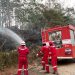 Tim HSSE Pertamina EP Jambi memadamkan kebakaran lahan menggunakan fire truck di salah satu lokasi karhutla di Jambi. (Foto : ist)