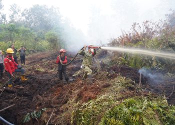Tinjau Karhutla di Londerang, Danrem 042/Gapu Turun ke Lokasi Bantu Padamkan Api. (Foto : ist)