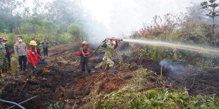 Tinjau Karhutla di Londerang, Danrem 042/Gapu Turun ke Lokasi Bantu Padamkan Api. (Foto : ist)