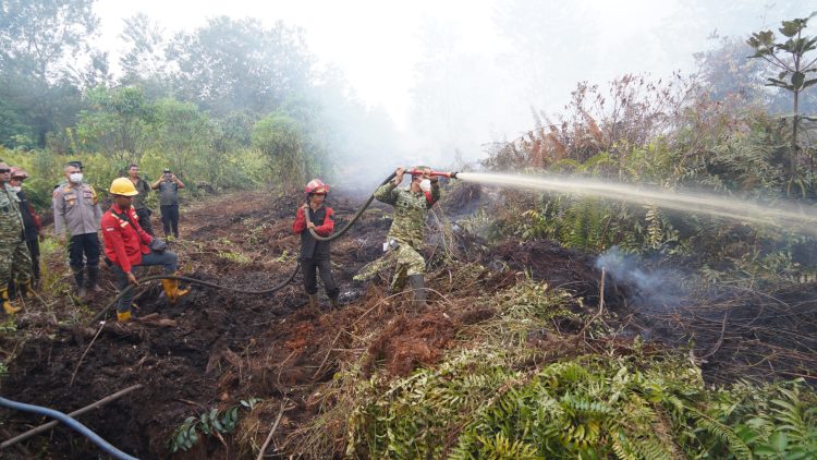 Tinjau Karhutla di Londerang, Danrem 042/Gapu Turun ke Lokasi Bantu Padamkan Api. (Foto : ist)