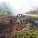 Tinjau Karhutla di Londerang, Danrem 042/Gapu Turun ke Lokasi Bantu Padamkan Api. (Foto : ist)