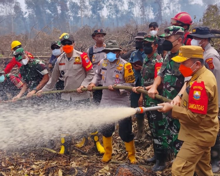 Lagi, Gubernur Al Haris Bersama Pangdam TIB Turun ke Kawasan Gambut Londerang Padamkan Karhutla. (Foto : ist)