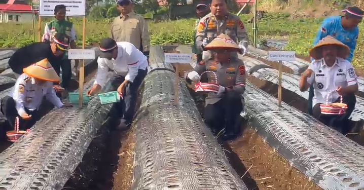 Dukung Ketahanan Pangan Nasional, Polda Jambi Laksanakan Penanaman Bawang Putih di Kayu Aro. (Foto : ist)