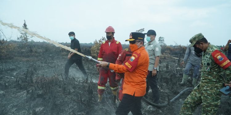 Gubernur Al Haris Berjibaku Padamkan Karhutla di Muaro Jambi, Dorong Masyarakat Manfaatkan Program PLTB. (Foto : ist)